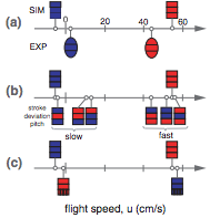 Secrets of Fly Vision for Rapid Flight Control and Staggeringly Fast  Reaction Speed